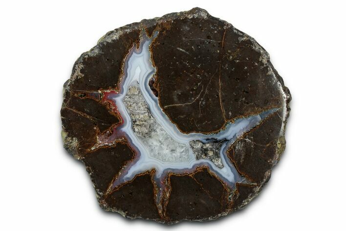 Colorful Polished Thunderegg Half - Nevada #337754